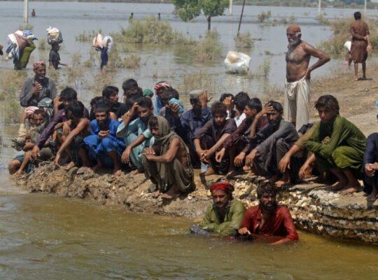 India Opens Floodgates: Rising Waters Force Mass Evacuations in Punjab