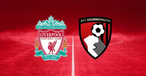 Bournemouth's Resilient Performance